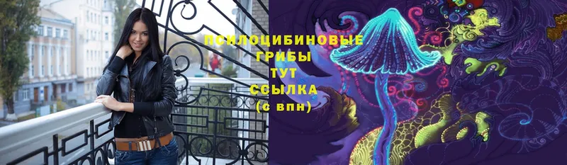 Галлюциногенные грибы Magic Shrooms  Скопин 